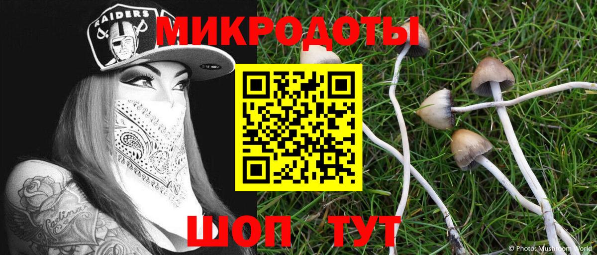 Псилоцибиновые грибы прущие грибы  Вход с VPN  Мелеуз 